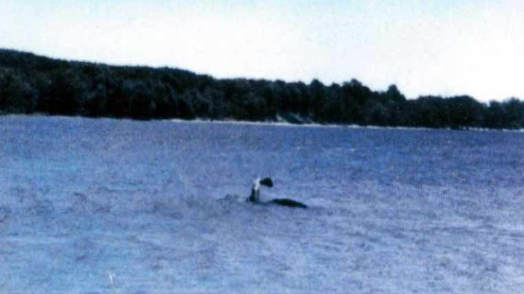 Fotografie monstrul din lacul Champlain