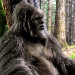 Misteriosul Almas – Creatura jumătate om, jumătate maimuță din Munții Altai
