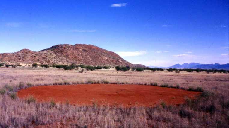 Cercurile din deşertul Namibia