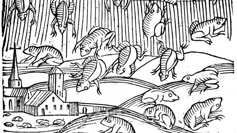 O ilustratie a unei ploi paranormale cu broaste inregistrata in Europa anului 1355