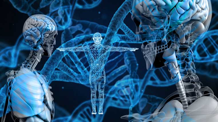 Modificări genetice ale speciei umane? Misterul evoluției și controversele legate de originea omului