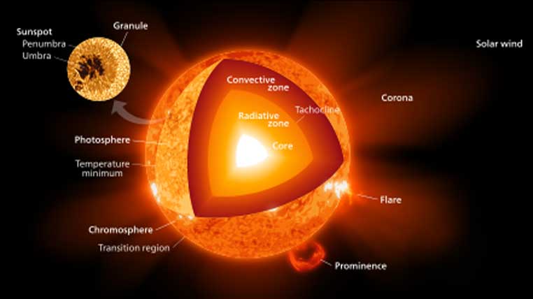 Structura Soarelui