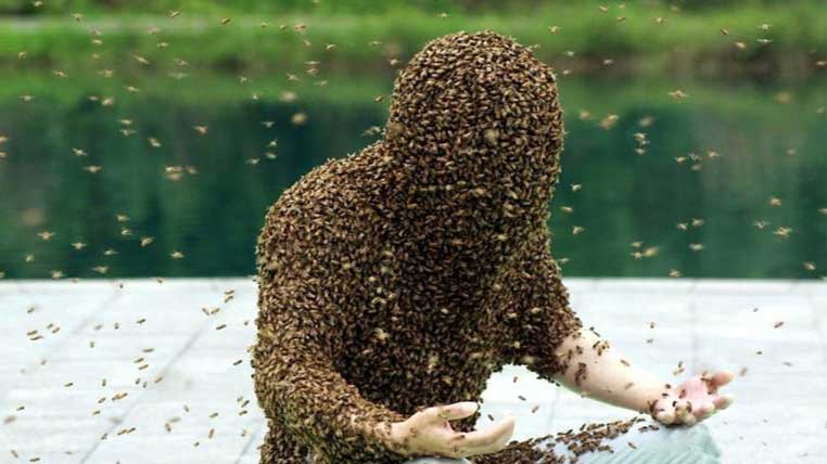 Recorduri Guinness - Ruan Liangming, omul albină